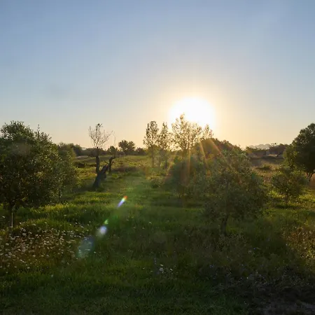 Romani Сasa de vacaciones
