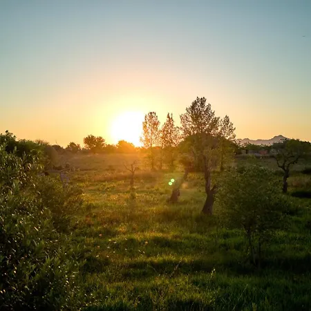 Romani بويينسا