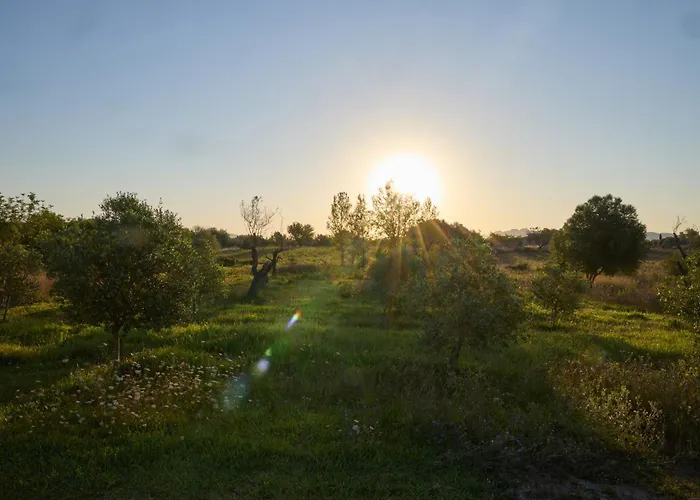 Romani Σπίτι διακοπών
